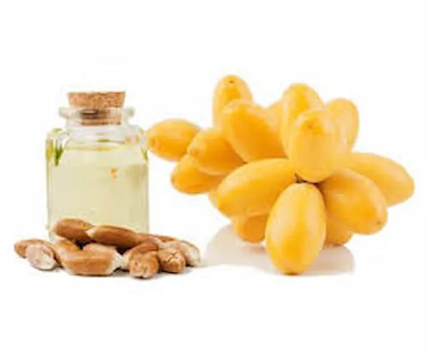خرید روغن هسته خرما | فروش انواع انکر با قیمت مناسب