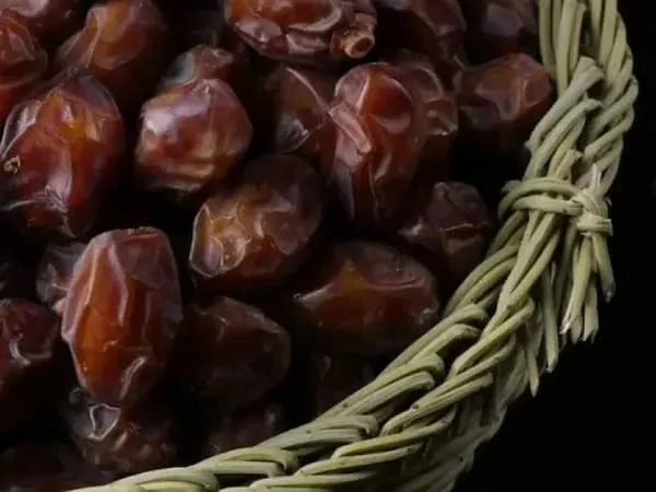 قیمت خرما خاصویی  + خرید انواع متنوع انکر