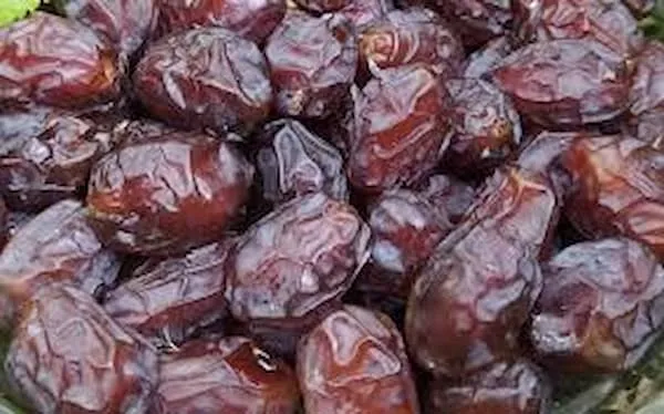 قیمت خرما خاصویی  + خرید انواع متنوع انکر