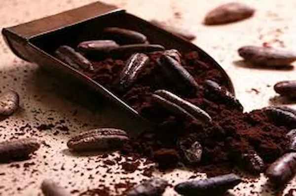 خرید بهترین انواع قهوه هسته خرما با قیمت ارزان