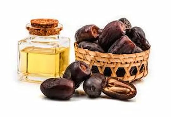 خرید روغن هسته خرما | فروش انواع انکر با قیمت مناسب