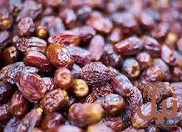 خرید و قیمت بهترین انواع خرما شهابی