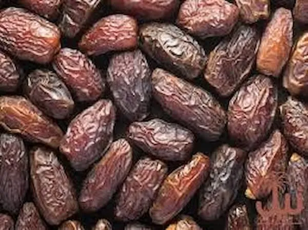 خرید و قیمت بهترین انواع خرما شهابی